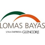 Lomas Bayas logo